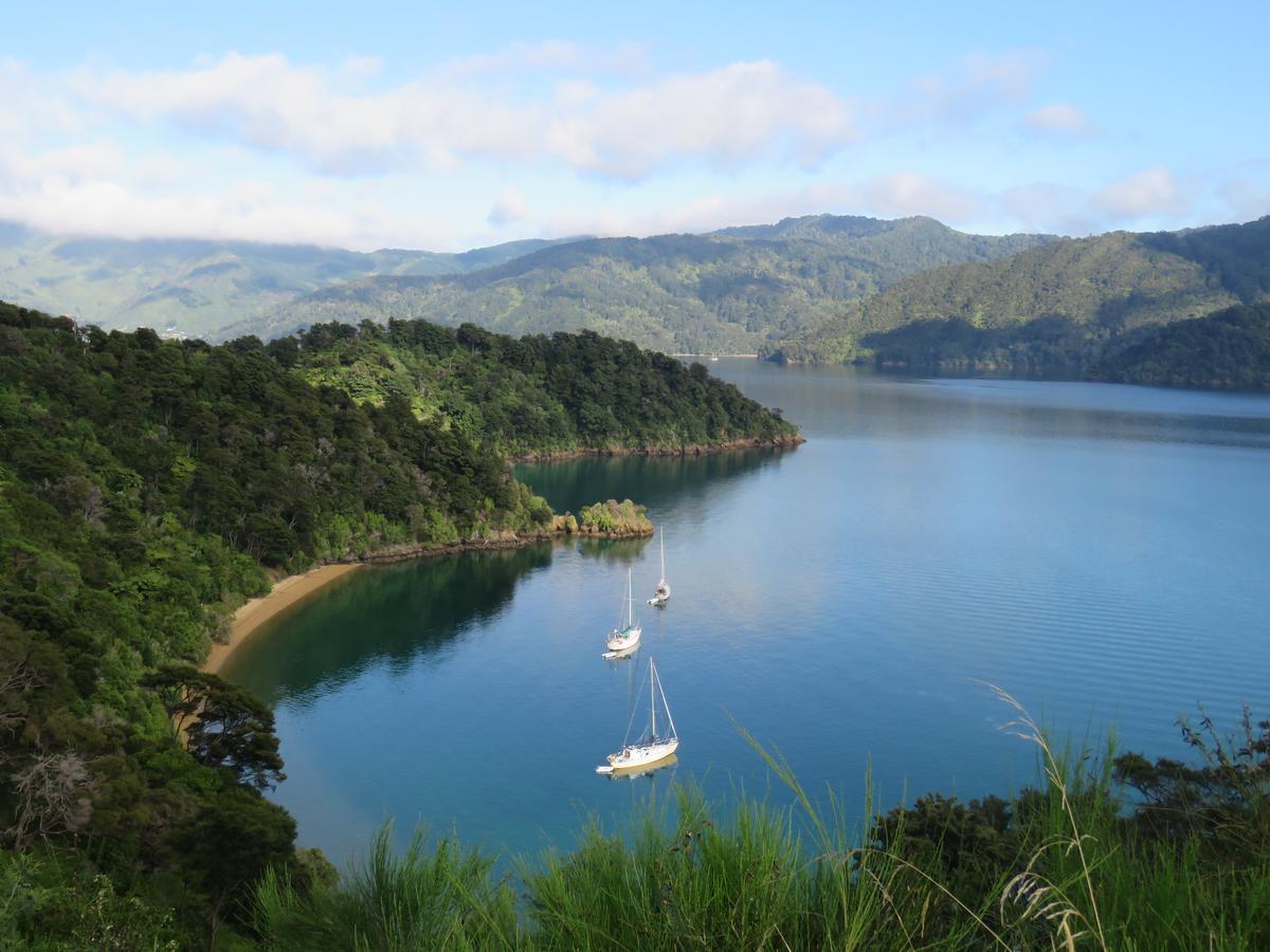 Waterfront Bed And Breakfast Picton Eksteriør bilde